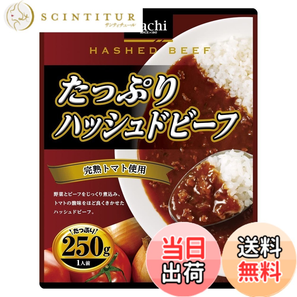 【送料無料】ハチ たっぷりハッシュドビーフ 250gx20個