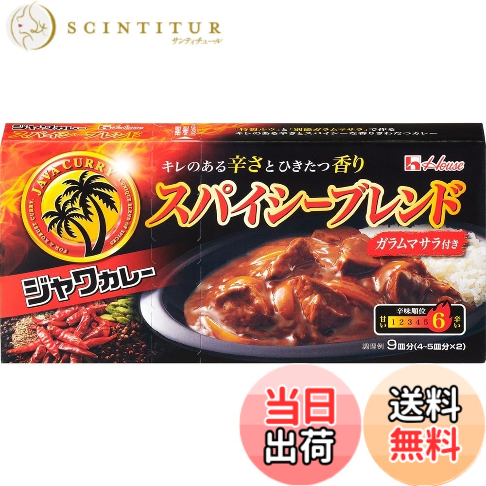 【送料無料】House ジャワカレー ハウス スパイシーブレンド 191g x10個【カレールー】【スパイシー】