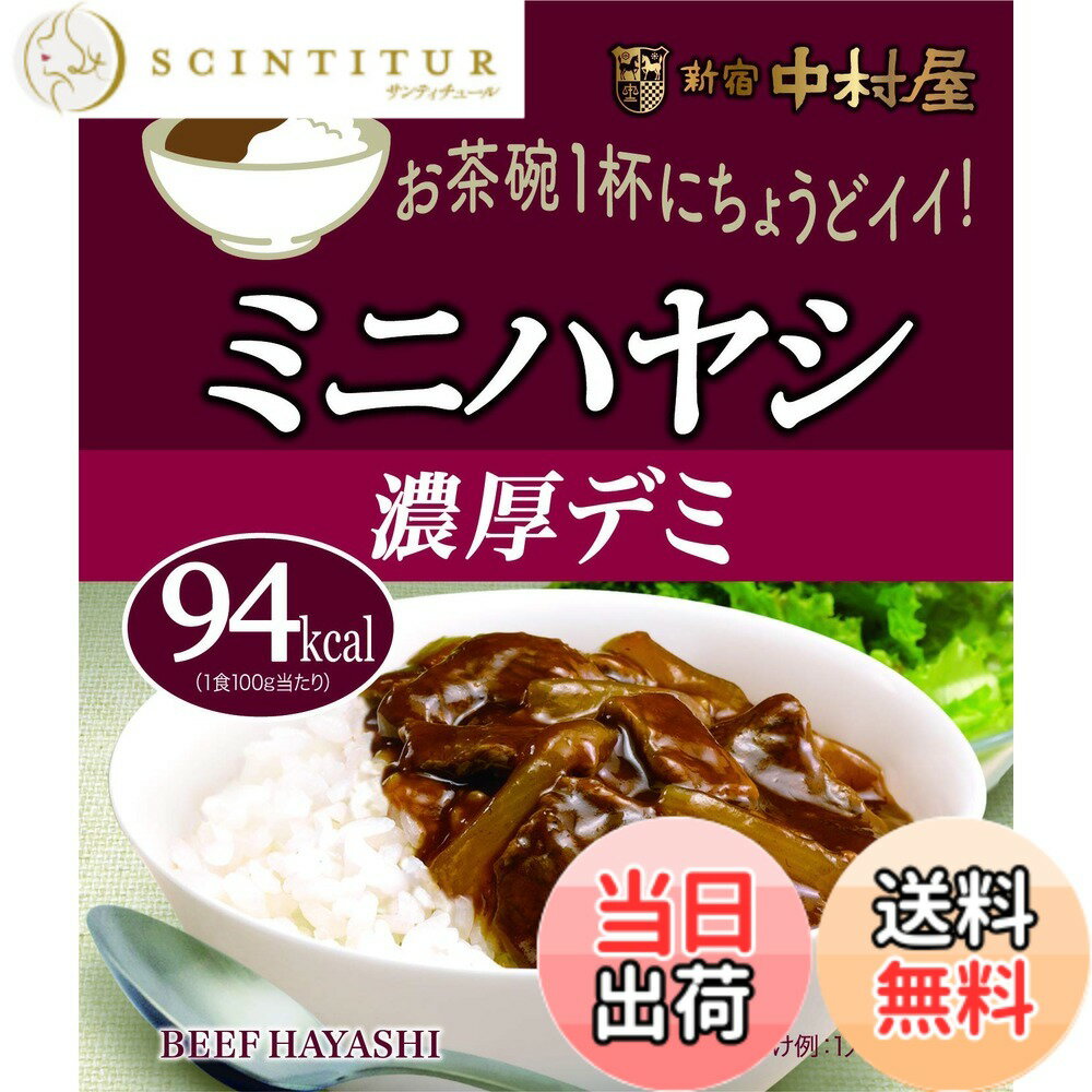【送料無料】新宿中村屋 ミニハヤシ 100g x10袋