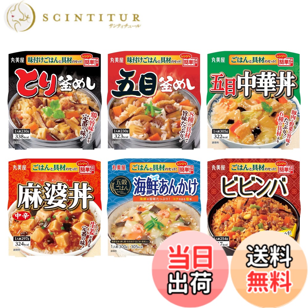 【送料無料】【セット商品】 丸美屋食品工業 丸美屋 レンジで簡単!ごはん付きシリーズ アソート詰め合わせ 6食