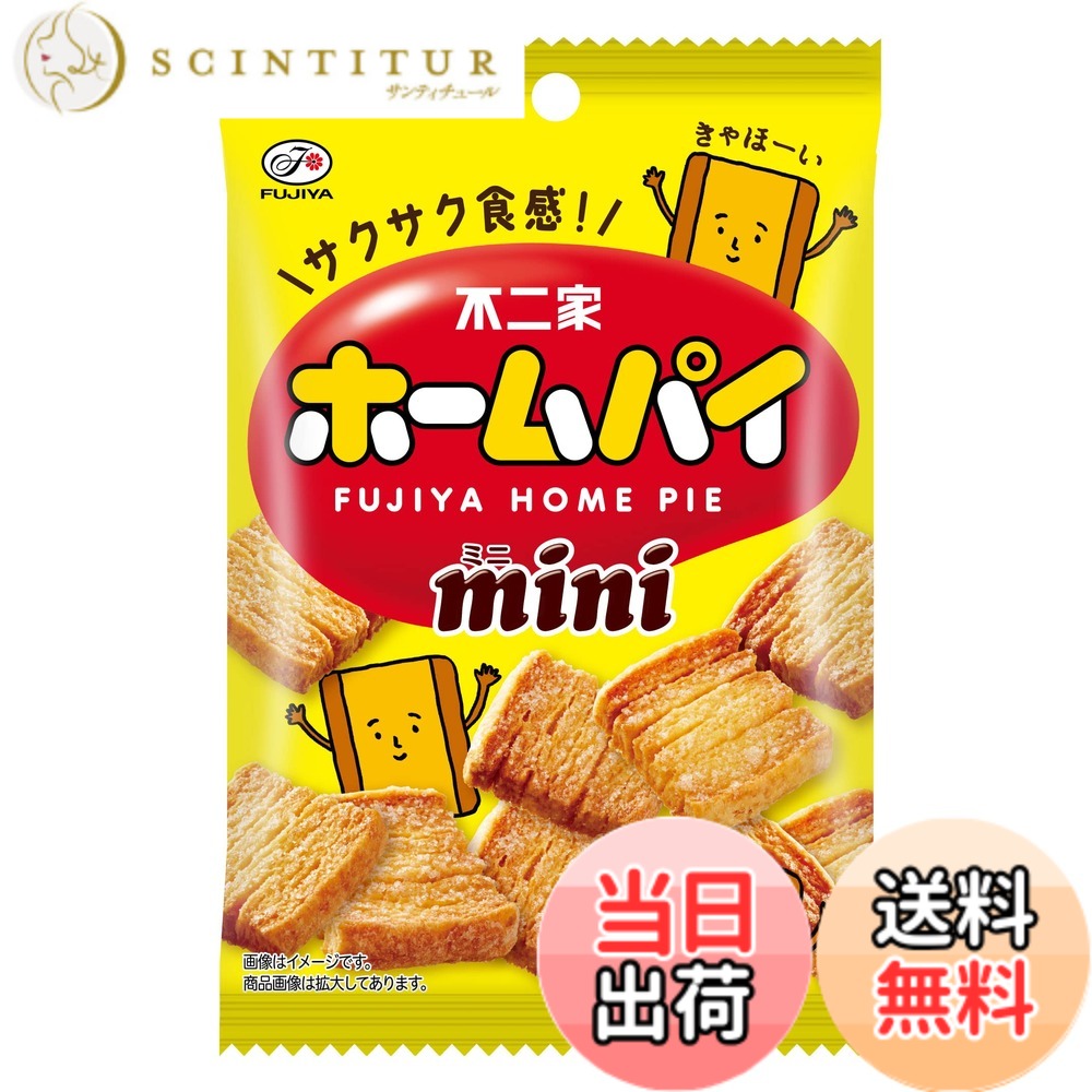 【送料無料】不二家 ホームパイミニ 47gx10個