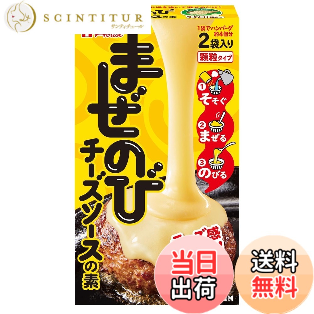 【送料無料】まぜのびチーズソースの素 ハウス 69g x5個 [お湯を注いで混ぜるだけで、とろ~り伸びるチーズソースの出来上がり!パーティー キャンプ ハンバーグや野菜スティック]