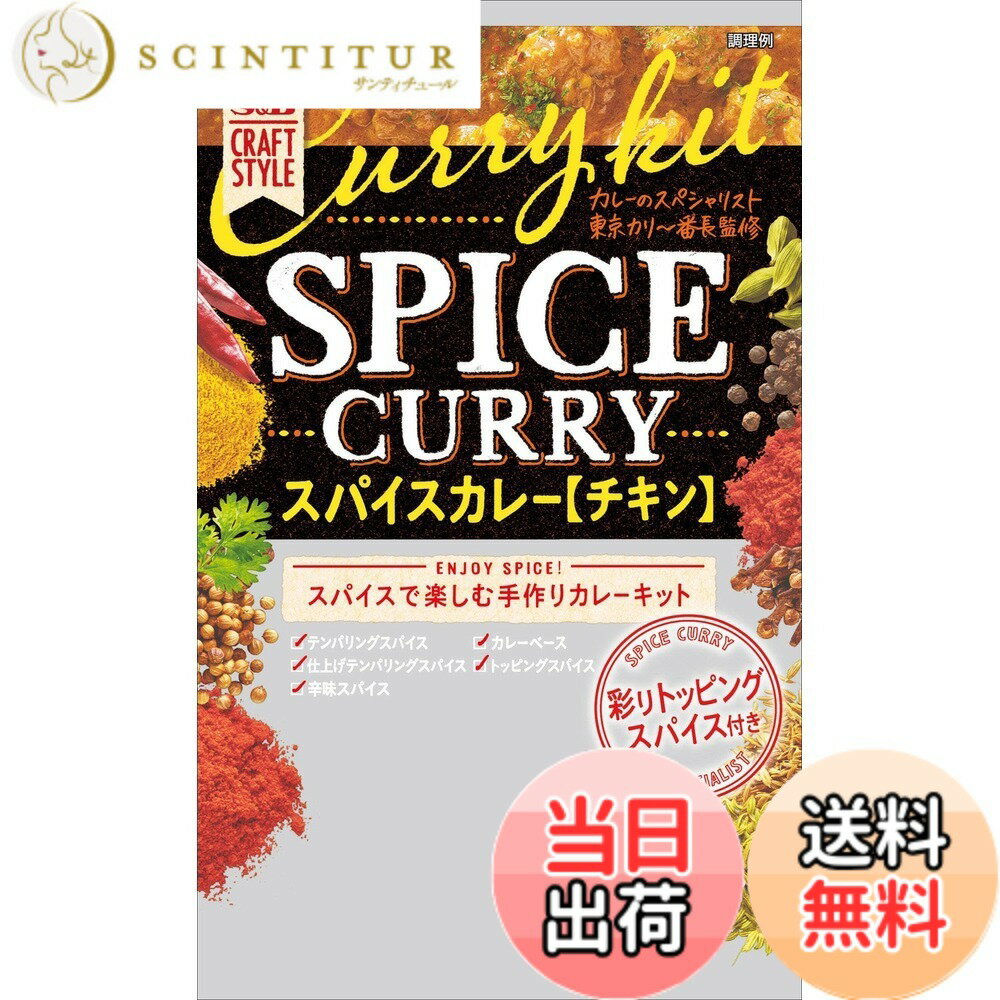 S&B エスビー食品 CRAFT STYLE スパイスカレー 43.6g