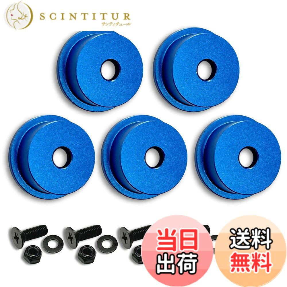  オス金具 セフティ金具 ワンタッチ工具ホルダー用取付金具 スリムホルダー対応 セフティホルダー (アクアブルー, 5個セット)