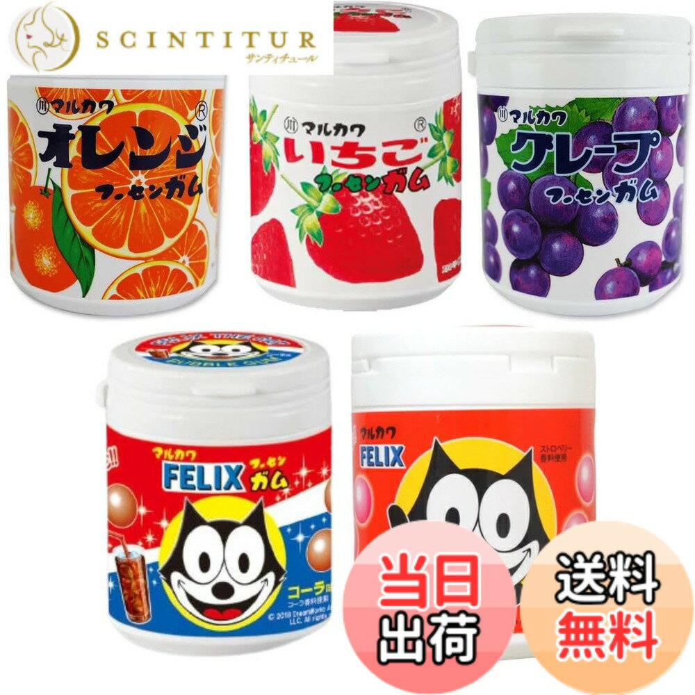 【送料無料】マルカワ ガム ボトル 全種類セット オレンジ いちご グレープ フィリックス コーラ フーセンガム 風船ガム マーブルガム ギフト用ステッカーセット