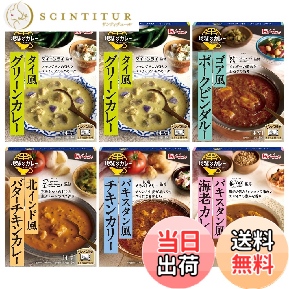 【送料無料】【限定】 ハウス地球のカレー5種6食アソートセット（グリーン/バターチキン/海老・ポークビンダルー/チキン）【レンジ調理対応】【レトルト食品】【非常食】【エスニック】【セット買い】