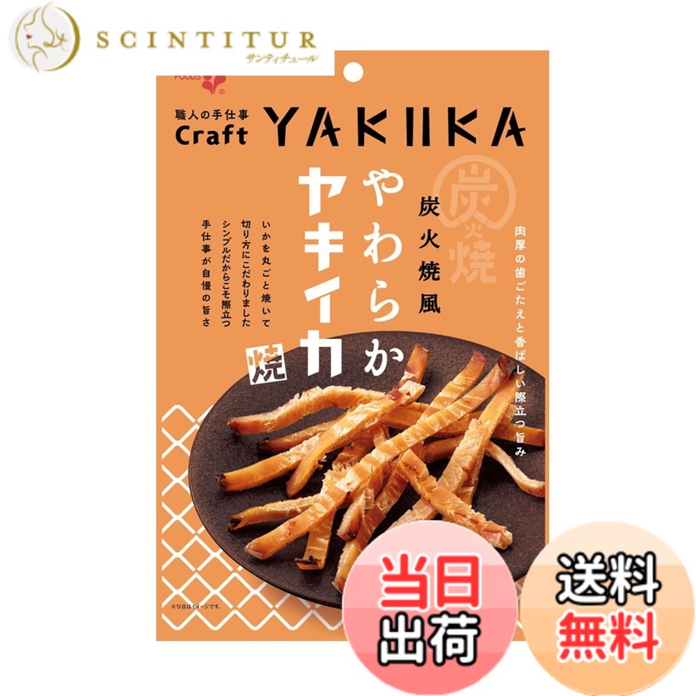 Rakuten - 【送料無料】井上食品 炭火焼風やわらかヤキイカ 38gx10袋