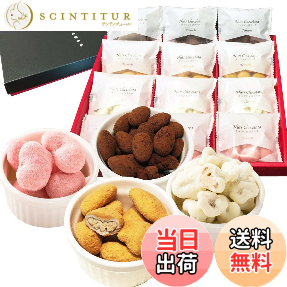 【送料無料】お菓子 チョコ ギフト 贅沢ナッツショコラータ4種x3袋(12袋)詰め合わせ チョコレート プレゼント 人気 お返し 小分け アーモンドココア ピーカンナッツキャラメル カシューナッツ 苺 くるみ ホワイト 岩塩 スイーツ 贈り物 ナッツチョコ 高級 個包装の商品画像