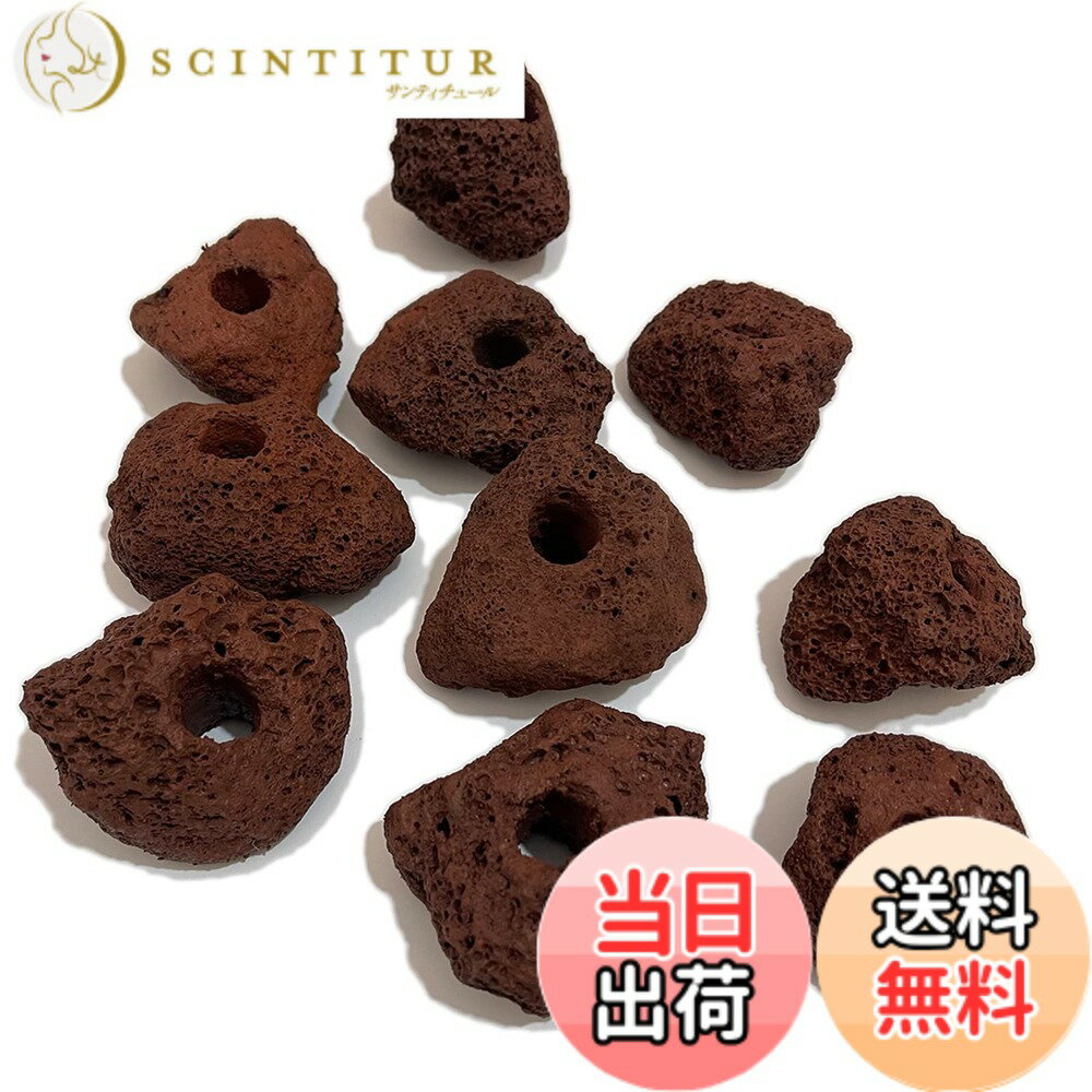 【送料無料】S-NET 溶岩 石 火山 岩 水槽 穴あき オブジェ 10個 セット アクアリウ...