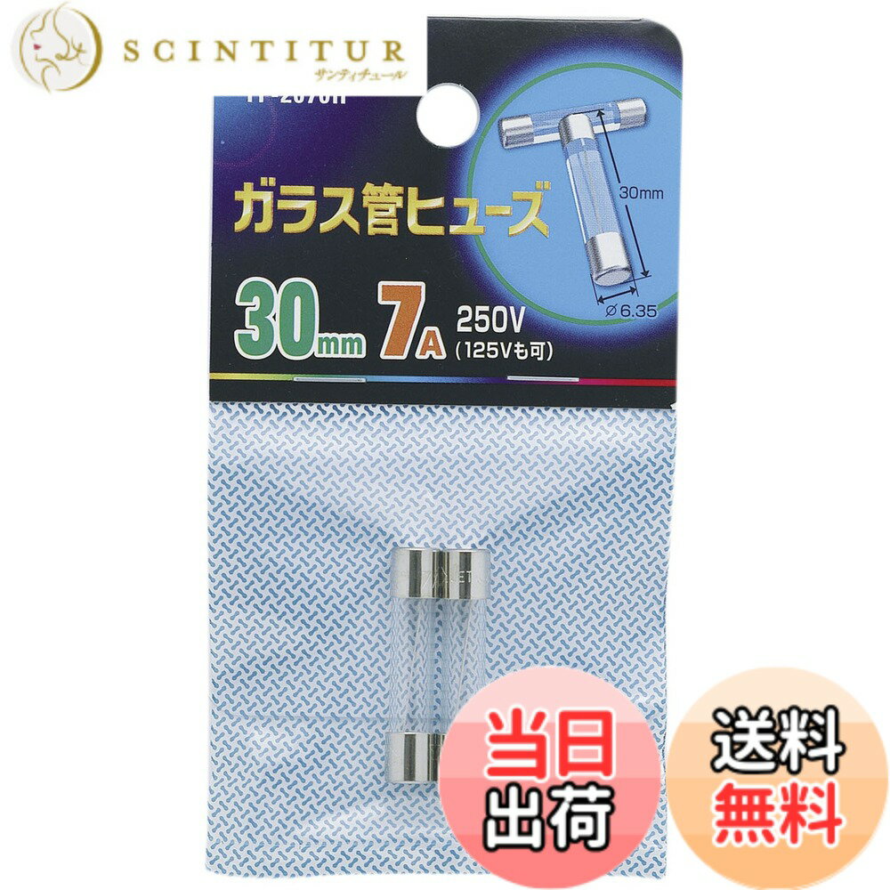 【送料無料】エルパ (ELPA) ガラス管ヒューズ30MM 溶断特性B 2個入 30mm 250V 7A 遮断電流100A φ6.35 TF-2070H