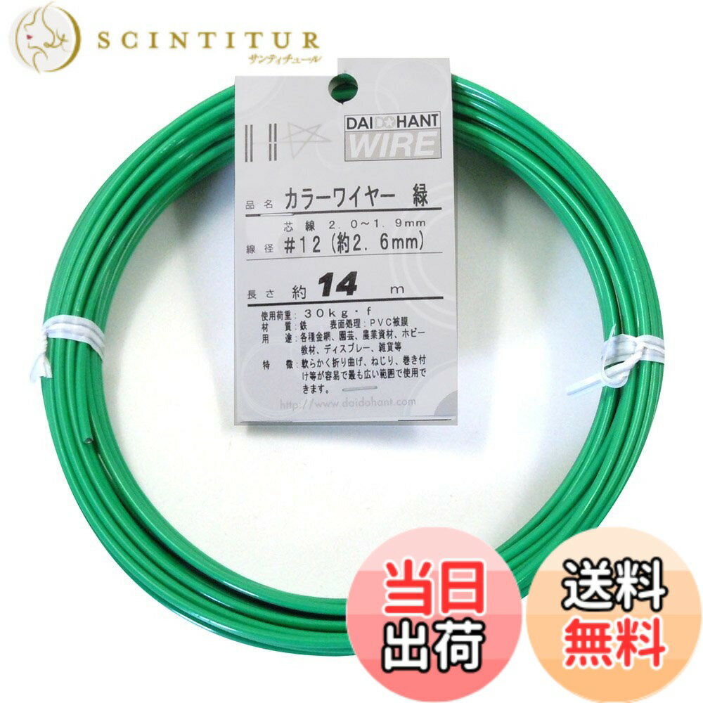 【送料無料】ダイドーハント (DAIDOHANT) 針金 [ビニール被覆] カラーワイヤー グリーン ( 緑 ) [太さ] #12 (2.6 mm x [長さ] 14m 10155855