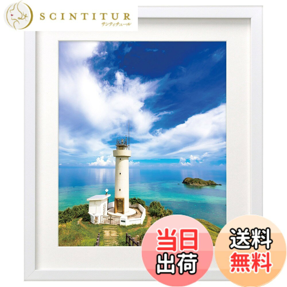 ������̵���ۥϥ��� HAKUBA �۱� MM-01 4�� ���� �ۥ磻�� FWMM01-WT4