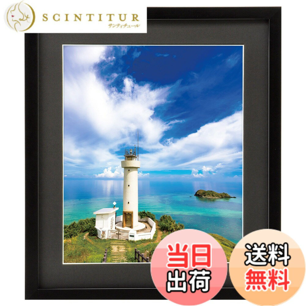 ������̵���ۥϥ��� HAKUBA �۱� MM-01 4�� ���� �֥�å� FWMM01-BK4