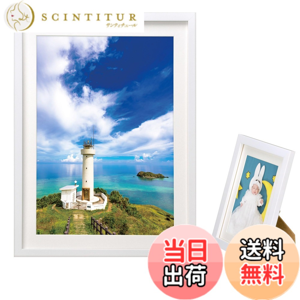 ������̵���ۥϥ��� HAKUBA �۱� MM-01 A4 ���� ��������� �ۥ磻�� FWMM01-WTA4