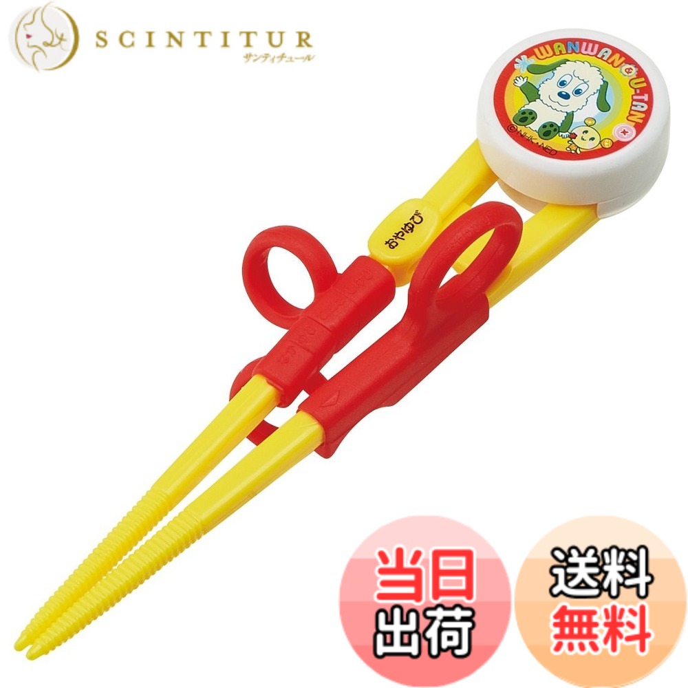 【送料無料】スケーター(Skater) 子供用 トレーニング箸 14cm 練習箸 対象年齢2-7才  ...