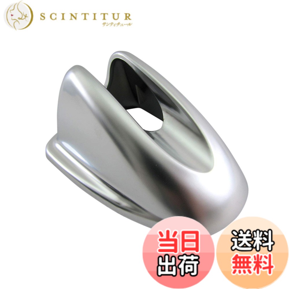 【送料無料】BRIGHTZ エクストレイル T32 前期 アンテナカバー サテンシルバー 【 ANTENNA-043 】 HNT32 HT32 NT32 T32 HNT HT NT 32 エクストレエル エクストレール 31097