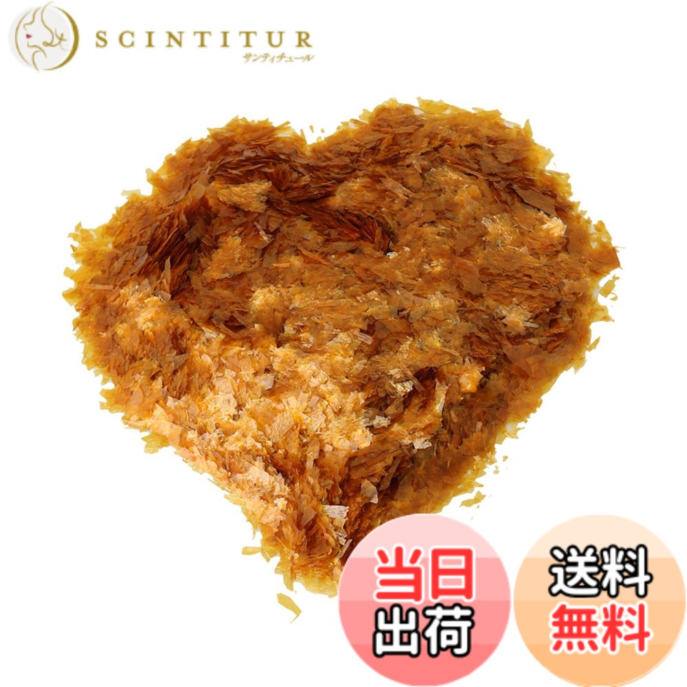 Erhu - 【送料無料】Bstinay シェラックフレーク 極薄 簡単溶解 インド シェラック製 接着ツール 楽器修理 イエロー