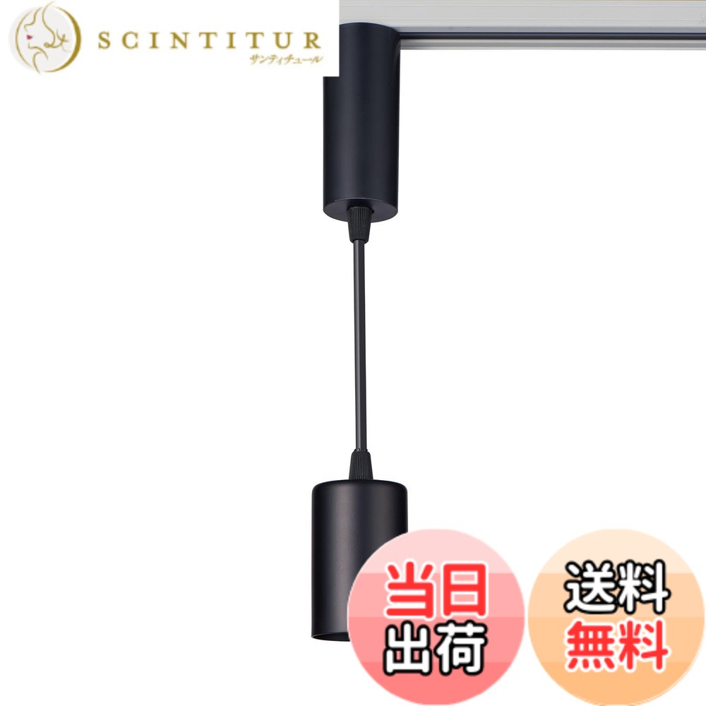 【送料無料】朝日電器 ELPA LEDライティングバー用ライト LRS-P01L(BK)