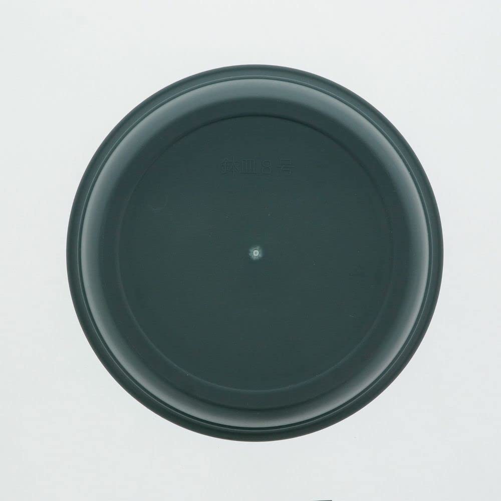 【送料無料】ベストコ フラワーリングポット用プレート 受け皿 8号 グリーン MA-3289 scintitur-10917916 サンティチュール サンプル画像3