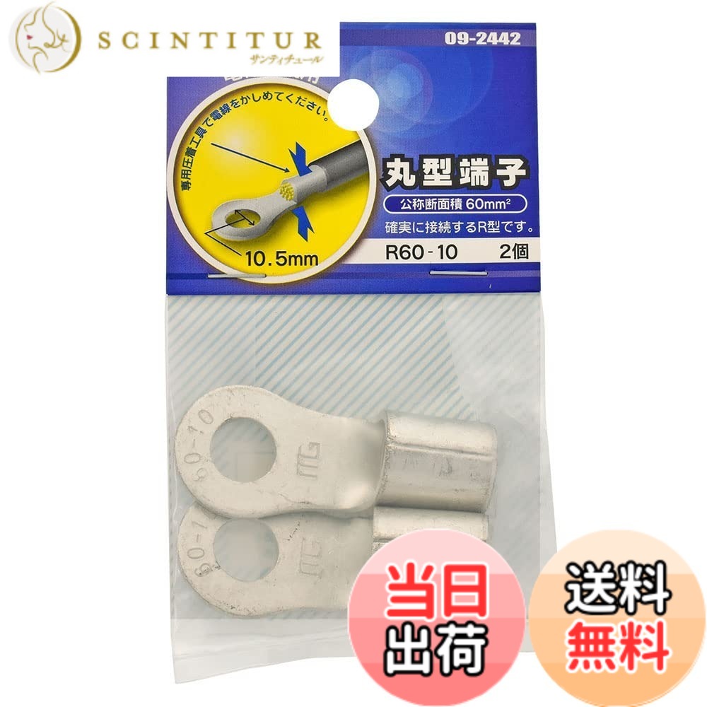 【送料無料】オーム電機 丸型端子 R60-10 2個入 DZ-R60-10/A2 09-2442 OHM