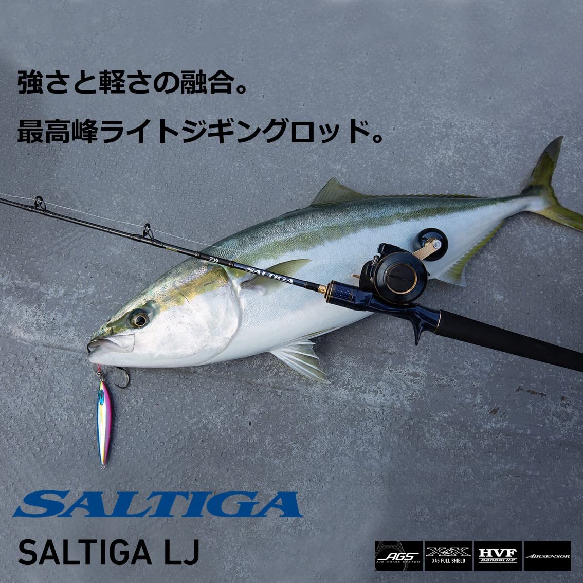 ソルティガ LJ 63XHB-S の商品画像2枚目