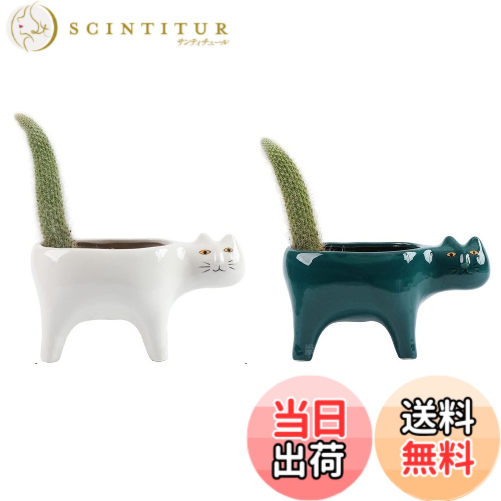 商品情報商品の説明仕様： サイズ：15.8*8*7cm タイプ：植木鉢 素材：セラミック 重量：約350g/個 色：ピンク＋ホワイト 包装内容明細書： 2*セラミック植木鉢 【複数の目的】 小さな植木鉢は小さな多肉植物、ミニサボテン、ハーブ、空気植物、または人工植物に適しています。子猫の漫画外観に特色の植物ホルダーの素敵な甘い雰囲気が上がりました。 【ユニークでかわいい】 かわいい外観は視覚的な魅力を強化しました。特に美しい小さな多肉植物で植えられたとき、その全体的な外観は活発で素敵です。子供や猫の恋人のための素晴らしい贈り物のアイデア！主な仕様 【商品仕様】：鉢のサイズ:15.8*8cm、パッケージ内容：猫の植木鉢*2個（ピンク＋ホワイト）（鉢のみ、植物は含まれていません）【ユニークなデザイン】：かわいい子猫の外観が視覚的な魅力を高めます。特に小さな多肉植物が綺麗に植えられていて、全体的に生き生きとして可愛らしいです。子供や猫好きのための素晴らしいギフトのアイデア！【高品質の素材】：セラミック素材は、清潔でシンプルなものになり、どんな甘い家の装飾にも合います。窓辺、デスクトップ、ダイニングテーブル、棚、子供部屋、寝室、トイレ、キッチン、パティオの装飾に最適です。【排水穴・陶器トレー】：底に植物排水用の小さな穴があります。多肉植物、サボテン、アロエベラ、ライブロックプラントなどの小さな鉢植えの植物を簡単かつ便利に配置するのに最適です。【幅広い用途】:小さな植木鉢は、小さな多肉植物、ミニサボテン、ハーブ、空気植物、人工植物に適しています。漫画の子猫の形が植物スタンドに可愛くて甘い雰囲気を加え、お気に入りの植物を上手に飾ることができます。