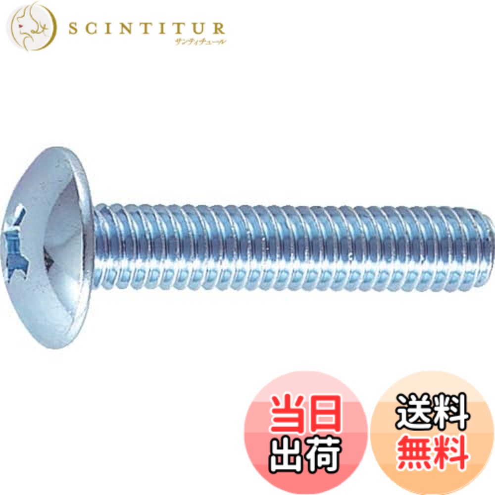 商品情報 商品の説明 説明 寸法(mm)d×L:M3×6 質量(g):188.44 主な仕様 寸法(mm)d×L:M3×6質量(g):188.44 # TRUSCO(トラスコ) トラス頭小ネジ ユニクロ 全ネジ M3×6 280本入 B04-0306 × 3PK【ケース販売】 さまざまなDIYや工業用に欠かせないネジ。特に、トラス頭小ネジは使い勝手が良く、幅広い用途に対応しています。しかし、「どのネジを選べばいいのか分からない」「質が不安で購入に踏み切れない」と悩まれる方も多いのではないでしょうか。そんなあなたにぴったりなのが、TRUSCOのトラス頭小ネジユニクロです。6mmの長さと280本のセットは、DIY愛好者からプロの方まで、使いやすさを提供します。この商品は、耐久性や品質も優れており、小さな工事から大規模なプロジェクトまで幅広く使えます。ネジ選びの悩みを解消し、あなたのプロジェクトをスムーズに進める助けとなるでしょう。ぜひこの機会に、TRUSCOのネジをご検討ください。 ## 商品の詳細情報 TRUSCOトラス頭小ネジは、寸法がM3×6mmで、80本入りを3パックまとめたケース販売です。この商品は、ユニクロメッキが施されており、耐候性にも優れています。質量は約188.44gと軽量ですが、しっかりとした硬さを持っていますので、様々な作業に使用できます。 特にユニクロメッキは、表面が滑らかで、組み立ても容易です。そのため、初心者から上級者まで、誰でも安心して施工作業ができます。しかも、280本も入っているため、短期間に多くのネジが必要な場合や、リピートで使う際にも非常に便利です。空いているスペースに保管でき、ストックが切れて慌てることもありません。 さらに、TRUSCOの製品は、厳しい品質管理のもとで製造されており、信頼性は抜群。購入後の満足度も高く、リピーターが多いのも納得です。ネジ選びに迷ったら、ぜひTRUSCOの製品を選んでみてください。心強い相棒となってくれることでしょう。 ## 使用目的と利点 このトラス頭小ネジは、さまざまな用途に活用できます。家庭のDIYプロジェクト、家具の組み立て、さらには工業設備の固定など、多岐にわたります。特に、トラス頭形状は、接触面積が広く、安定した締結が可能です。これにより、振動や摩擦による緩みを防げます。 例えば、簡単な棚を作る時、このネジを使えば、頑丈で安定した構造ができます。また、家具の製作においても、しっかりした仕上がりとなるため、新たに家具を購入する必要がなく、コストの節約にも繋がります。 ネジを使用する際、どうしても心配となるのは、強度や耐久性です。TRUSCOのトラス頭小ネジは、しっかりとした強度を兼ね備えているため、長期間にわたり安定した使用が可能です。これにより、手間をかけずにプロジェクトを進められます。技術者やDIY愛好者が満足できる製品ですし、家庭用、自動車部品製作、電気配線などにも役立ちます。 ## 購入のメリット TRUSCOのトラス頭小ネジユニクロを購入することで、たくさんのメリットがあります。まず、280本入りで、コストパフォーマンスが非常に良い点が挙げられます。ネジは使用したり失くしたりするため、たくさん入っているのは嬉しいです。特にDIYに時間をかける方には、ストックが充実していることで安心感が生まれます。 次に、ユニクロメッキによる高い耐久性が特徴です。雨や湿気の多い地域でも安心して使用することができます。ある程度の湿気には耐えられるため、外での使用にも問題がありません。また、表面処理が施されているため、錆びにくく、長持ちすることが期待できます。 無料での迅速な配送サービスを利用できることも大きな魅力です。楽天市場を通じて購入すれば、すぐに手元に届くので、自分のプロジェクトに合わせてスムーズに利用できます。居住エリアによっては、当日発送も可能ですので、急ぎの場合でも安心です。 ## 使用時の注意点とFAQ TRUSCOのトラス頭小ネジを使用する際、いくつかの注意点があります。まず、適切なドライバーを使用してください。小ネジの場合、強い力で締めすぎるとあらかじめ作った穴が広がる場合がありますので、注意が必要です。この点を把握しておくと、トラブルを防げます。 また、使う場所によっては、サイズや長さを再確認することが大切です。プロジェクトによっては、もっと長いネジがほしい場合や、逆に短いネジで事足りる場合もありますので、事前の計画が重要です。 よくある質問として「どのような素材に使えますか？」という声があります。TRUSCOのトラス頭小ネジは、木材、プラスチック、金属など、多様な素材に使えるため、非常に汎用性が高いです。DIYを楽しむ方や専門の技術者にとって、使いやすいアイテムと言えるでしょう。 ### まとめ - TRUSCOのトラス頭小ネジは、M3×6の280本入りが魅力です。 - 優れた耐久性と信頼性でさまざまな用途に最適。 - ユニクロメッキ加工で防錆効果も。 - 購入後の満足度の高い製品です。 - DIYや工業用途に大いに役立つネジです。 この機会に、ぜひTRUSCOのトラス頭小ネジを検討してみてはいかがでしょうか。あなたのプロジェクトをさらにスムーズに、安心して進める助けになることでしょう。