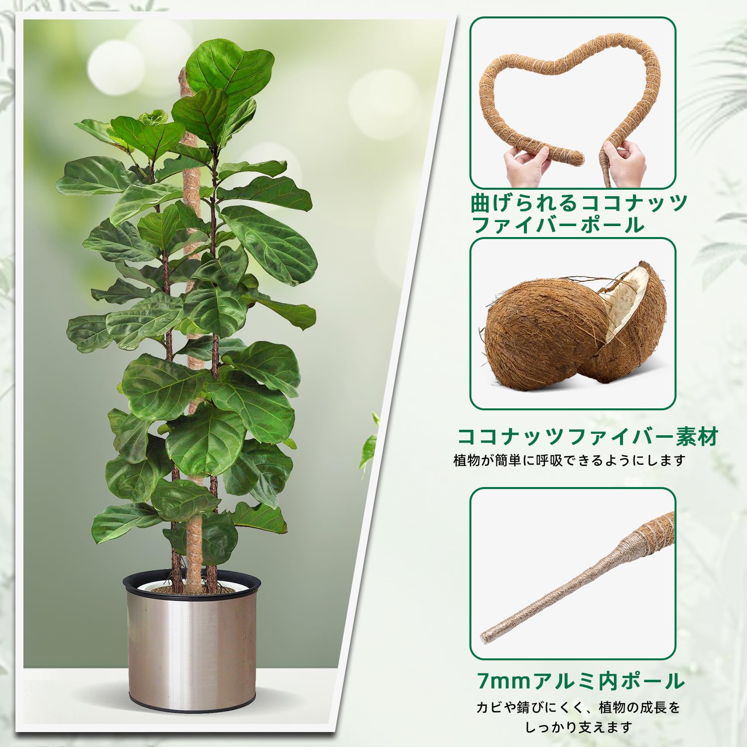 【送料無料】Mcbazel 120CM 観葉植物 支柱 モンステラ支柱 モスポール 曲げ可能 コ...