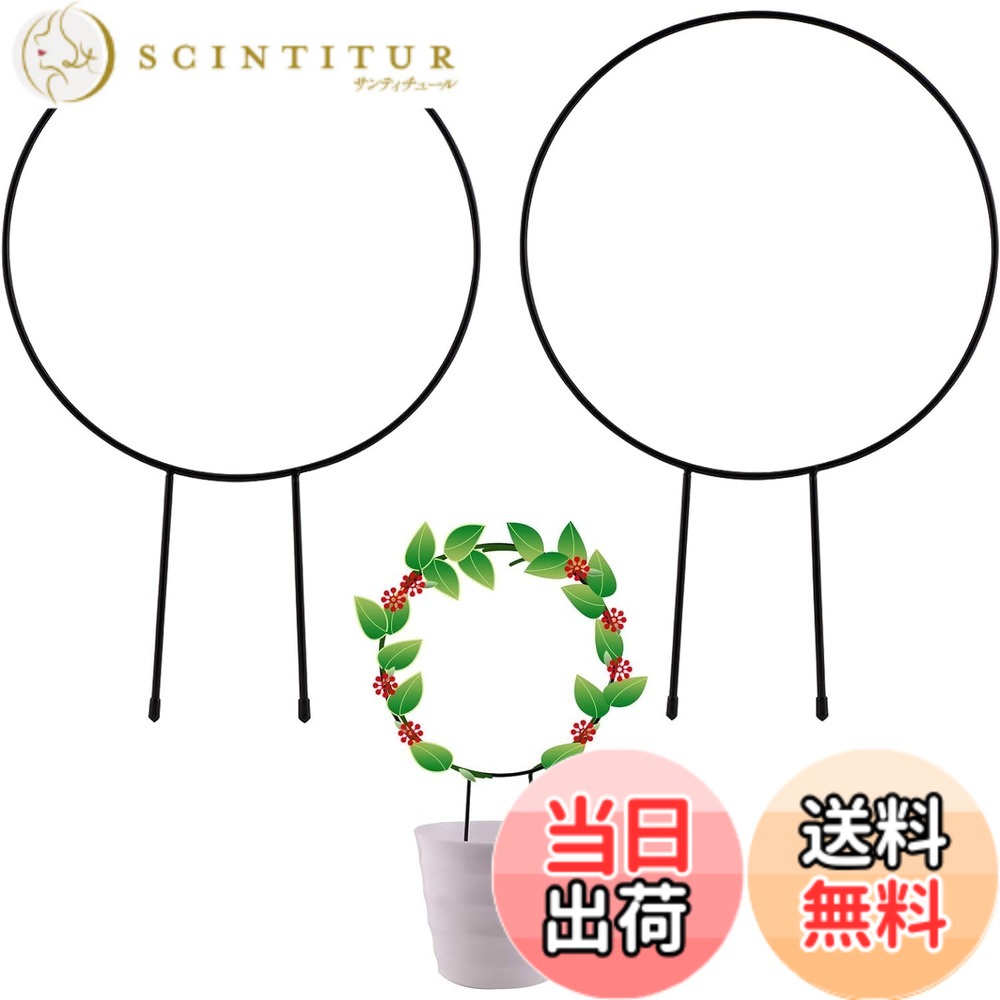 【送料無料】siawadeky 植物支柱 観葉支柱 2個セット 円形 観葉 つる植物 植物サポート 花支え DIY飾り用 植物成長方向誘引 バラ 薔薇 植木鉢用 フラワー支柱 農業用 園芸用 装飾用