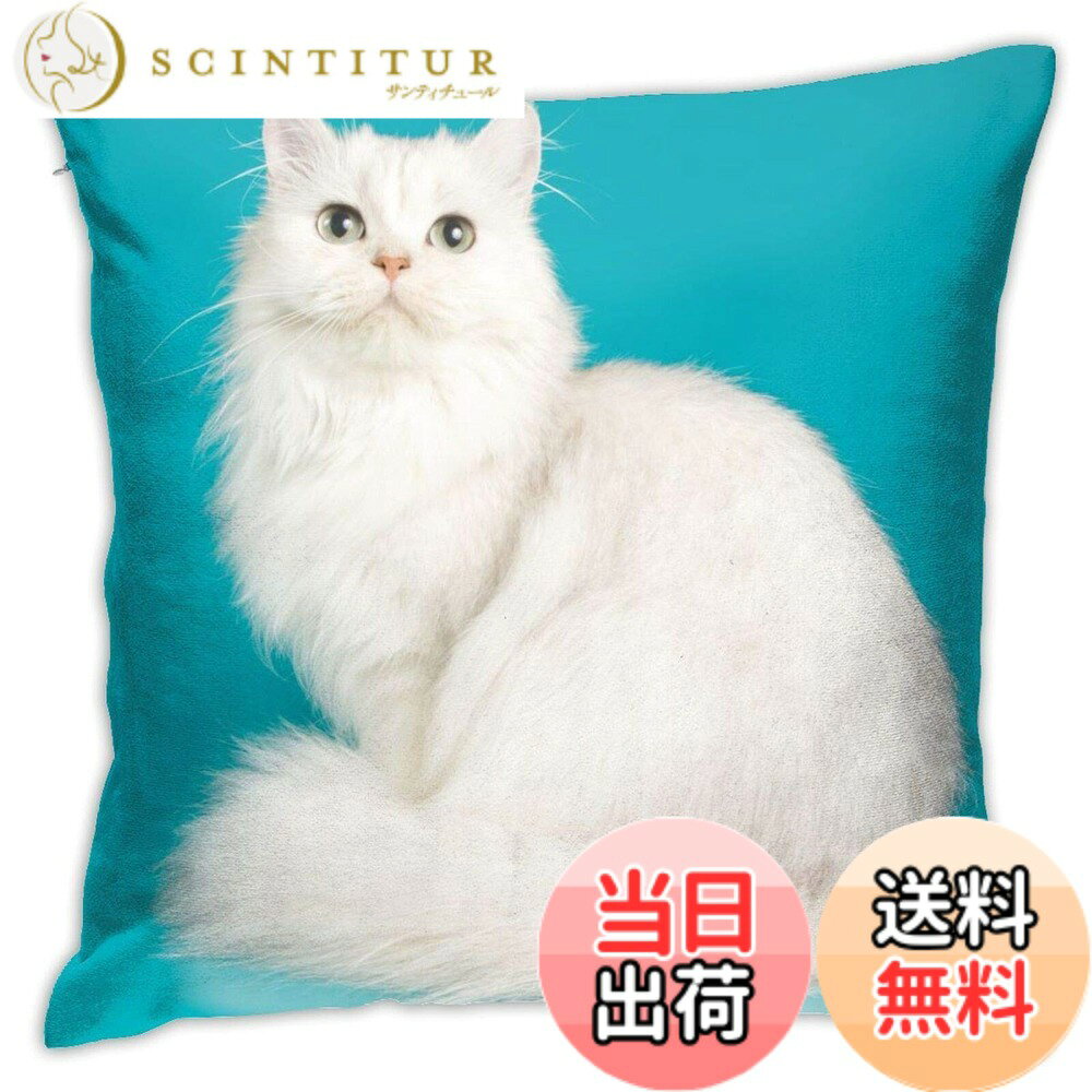 【送料無料】DADABULIU クッションカバー 45x45cm 抱き枕カバー ロングヘア 白猫 猫 ...