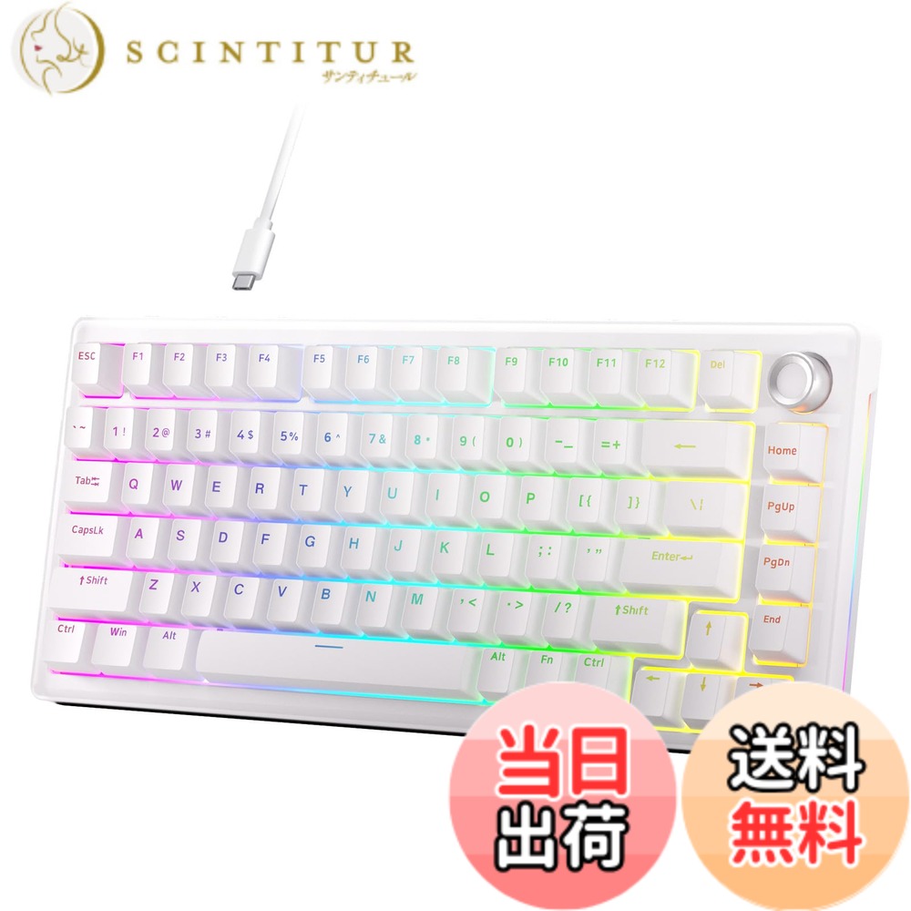 【送料無料】DIERYA DK81E ゲーミングキーボード ガスケットマウント構造｜メカニカルキーボード 有線 ボリュームノブ搭載｜RGBバックライト｜ホットスワップ対応クリームスイッチ｜ゲーミングキーボード 75%カスタム｜英語配列 (ホワイト)