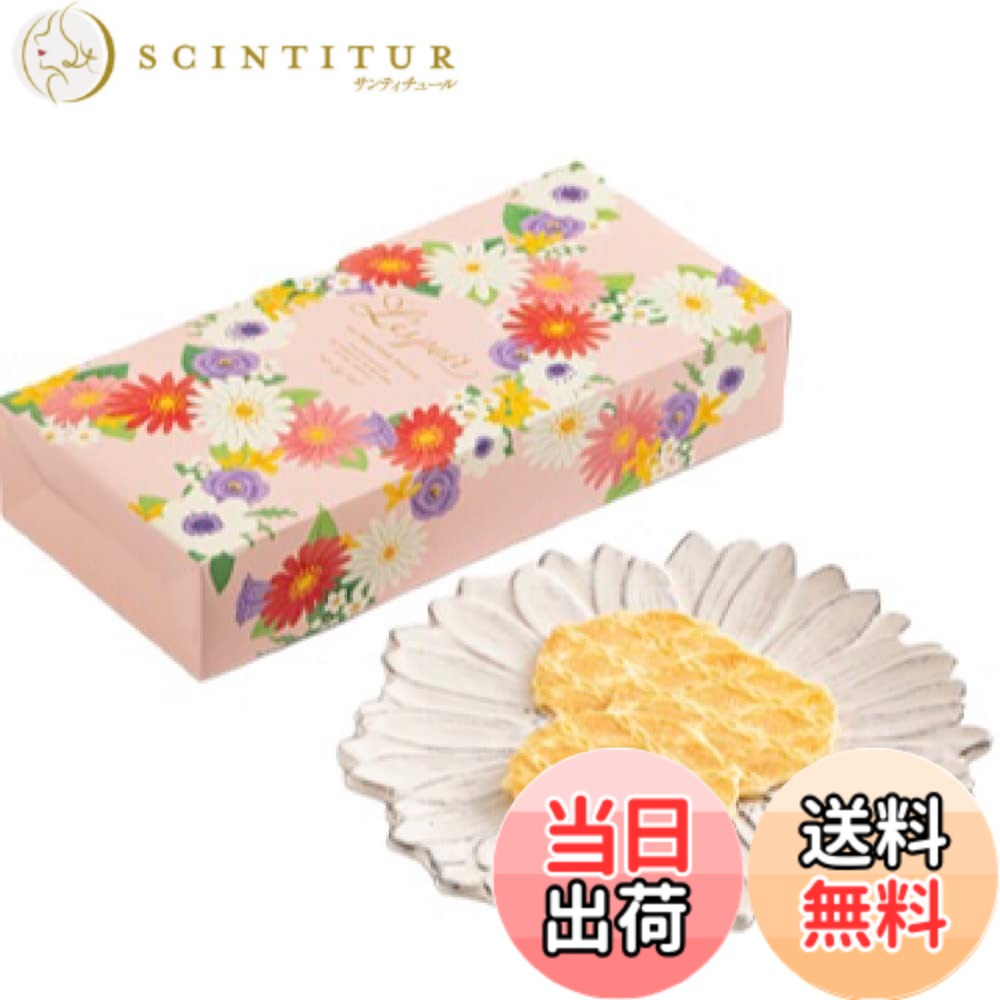 【送料無料】レスポワール レスポワールL10B サイズ：2個 (x 13) scintitur-10582625 サンティチュール パッケージ画像