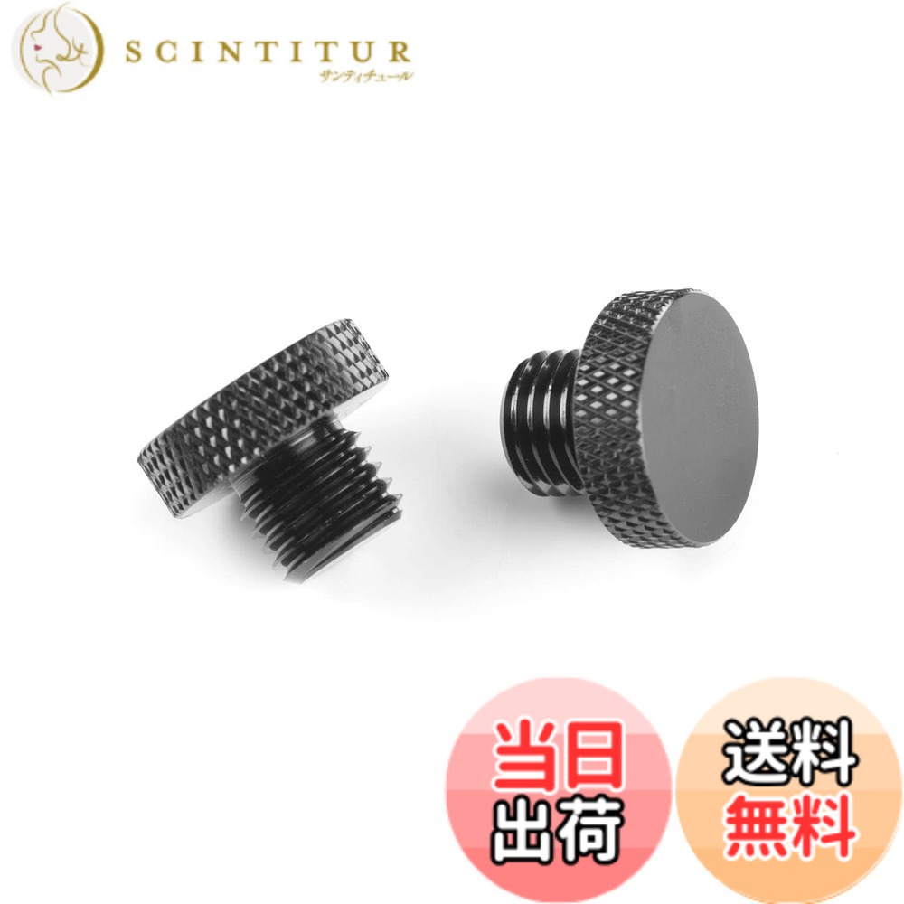 ミラー穴埋めボルト 光沢黒 色：10mm 1.25 pitch standard thread x 2、サイズ：M10正ネジ 2個