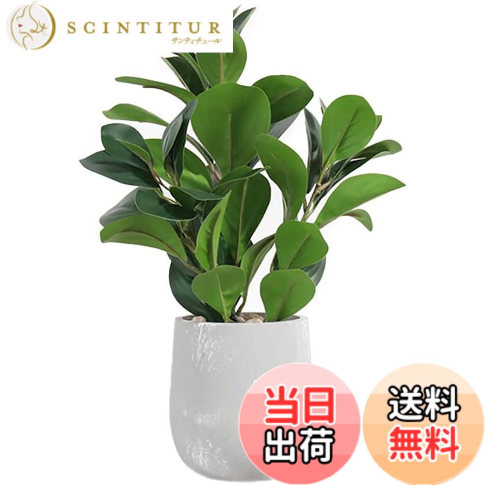 【送料無料】人工観葉植物 モンステラ 幅15cmx奥行15cmx高さ38cm フェイクグリーン 光触媒仕様 陶器鉢付き 簡単世話 水やり不要 色：青葉、サイズ：F
