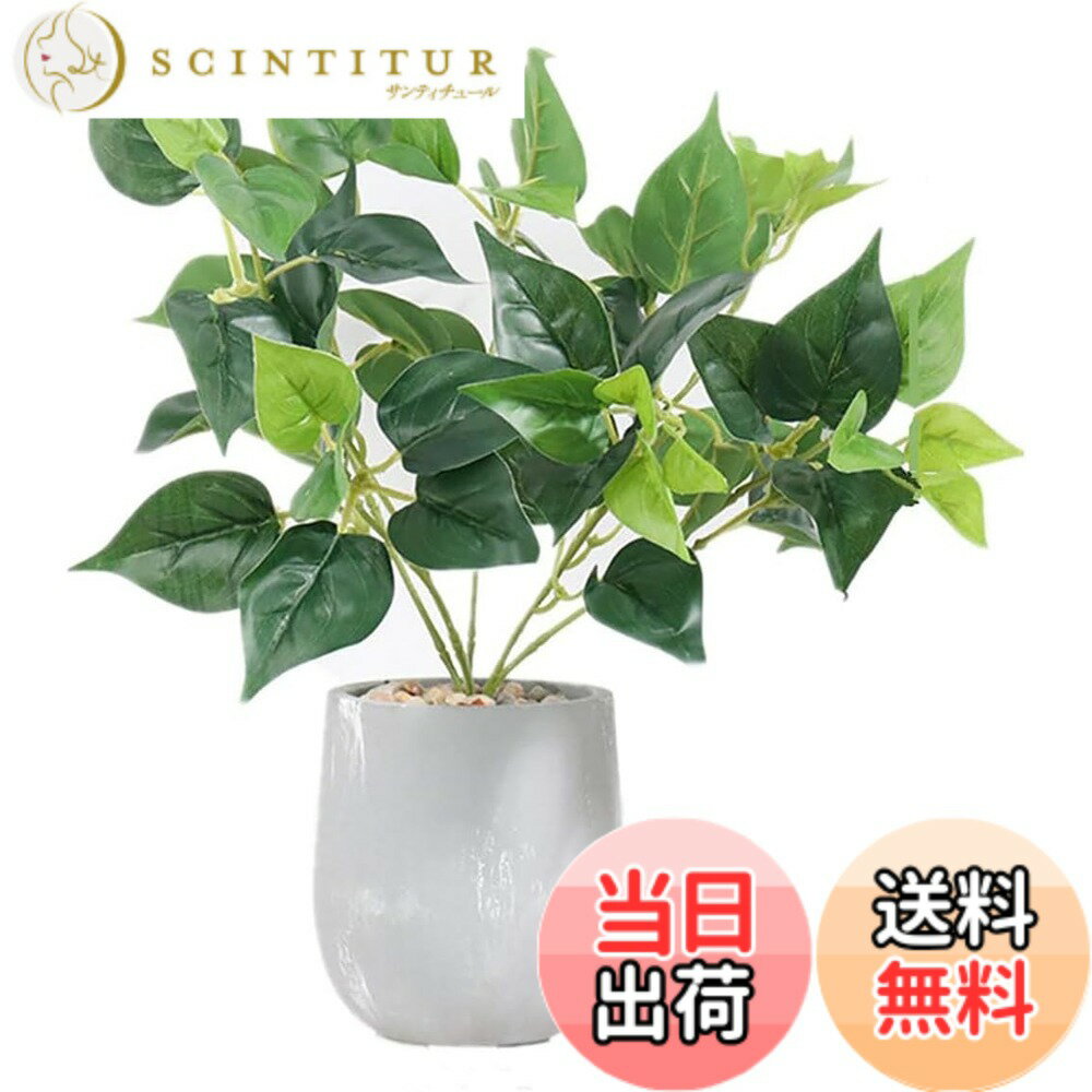 【送料無料】人工観葉植物 モンステラ 幅15cmx奥行15cmx高さ38cm フェイクグリーン 光触媒仕様 陶器鉢付き 簡単世話 水やり不要 色：ポトス、サイズ：F