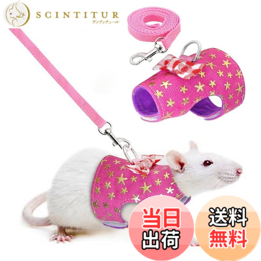 【送料無料】小動物用 ハムスター お散歩用リード リ