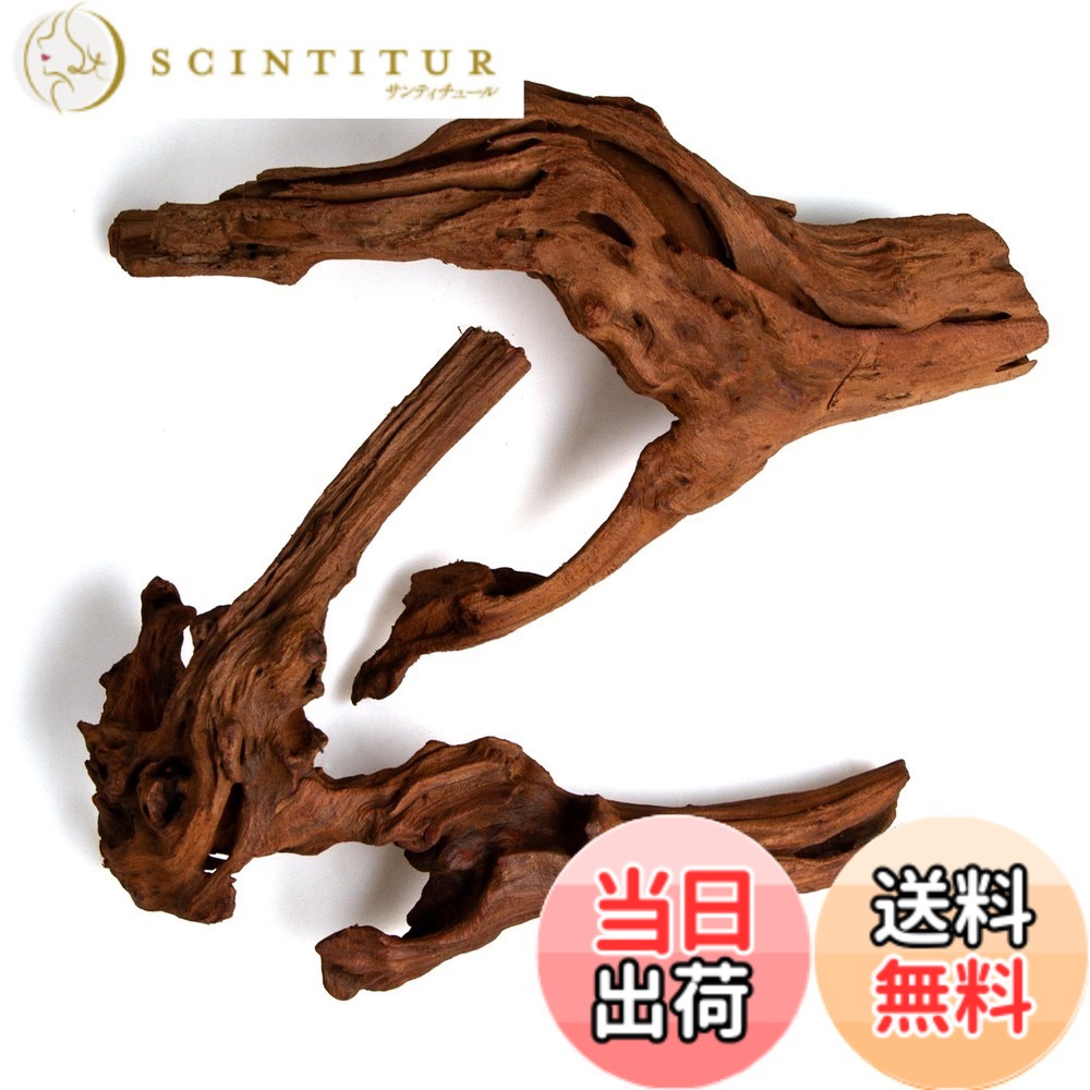商品情報商品の説明【内容】 Mopani（モパニ）流木 2個セット。サイズ目安：Sサイズ 8−12インチ（約20−30cm）。写真は一例で、形状・色味・大きさには個体差があります。 【特長】 二色の木肌と緻密な木質が魅力。小型水槽でも扱いやすく、水草やコケとの相性も良好。小型魚やエビの隠れ家としても機能します。 【使用前の下処理手順】 大きめの鍋で1−2時間の煮沸を数回行ってください。 その後、清水に1−2週間の浸け置きを推奨します。 タンニンにより水が茶色くなる場合は、こまめな水替えで徐々に薄まります。 ※十分な下処理により沈みやすくなります。 【注意事項】 天然素材のため小さな割れ・ささくれ・樹皮の残りがある場合があります。取り扱い時は手袋の着用を推奨します。 まれに浮力が残る個体は重しを併用してください。写真は一例で、届く品はランダムとなります。 【用途例】 苔木アレンジ／流木レイアウト／小型魚やエビの隠れ家／爬虫類レイアウト など。主な仕様 【サイズと内容】 2個セット／S 8−12インチ（約20−30cm）。写真は一例、個体差があります。【質感と存在感】 二色の木肌と緻密な木質。小型水槽でも扱いやすく、自然な立体感をプラス。【用途が広い】 アクア/パルダ/テラリウム/爬虫類ケージ。小型魚やエビの隠れ家づくりに。【下処理のすすめ】 煮沸1−2時間x数回 → 浸け置き1−2週間。タンニン着色はこまめな水替えで軽減。【注意事項】 割れ・ささくれ・樹皮残りがある場合あり。手袋着用推奨。浮力が残る個体は重しを併用。
