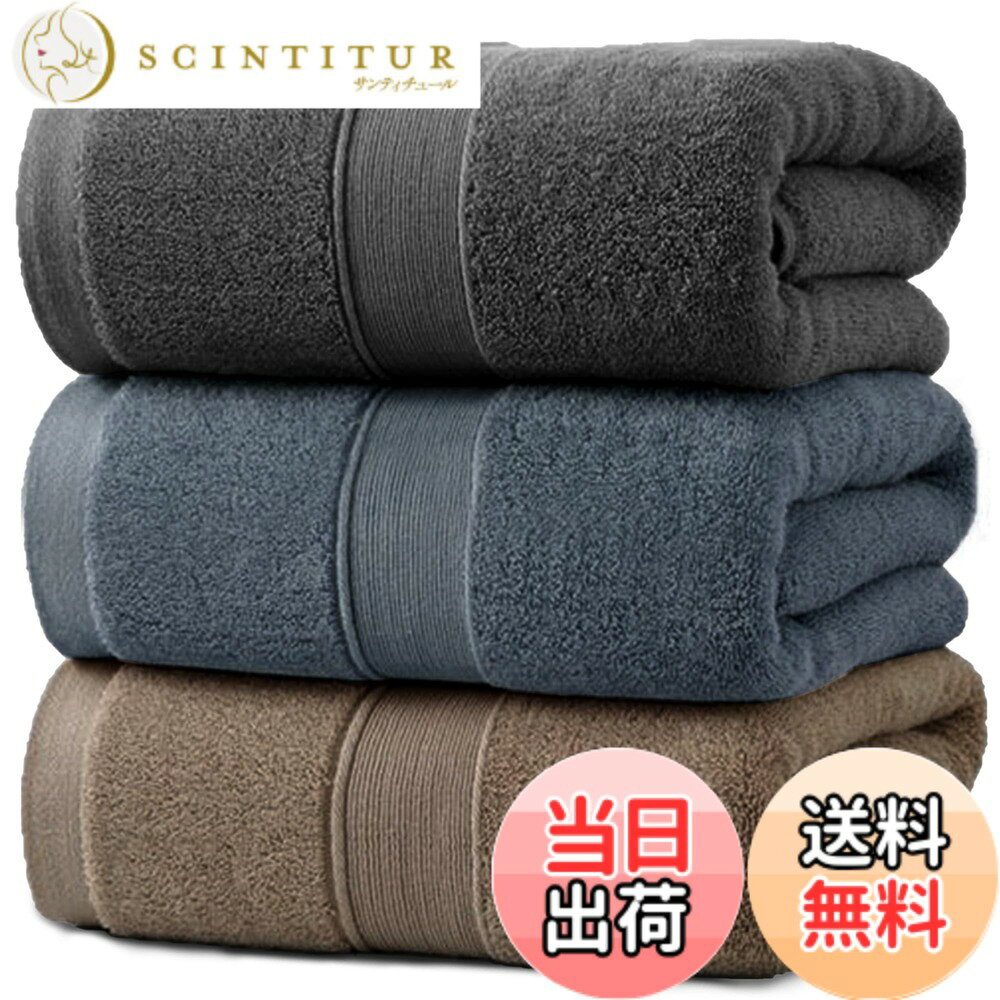 【送料無料】フェイスタオル HOSUR 綿100% ホテル仕様 厚手 ふかふか ボリューム 高速吸水 耐久性 速乾 瞬間吸水耐久性 無地 毛羽落ち少ない ギフト 色：組み合わせカラーe、サイズ：3枚組/バスタオル