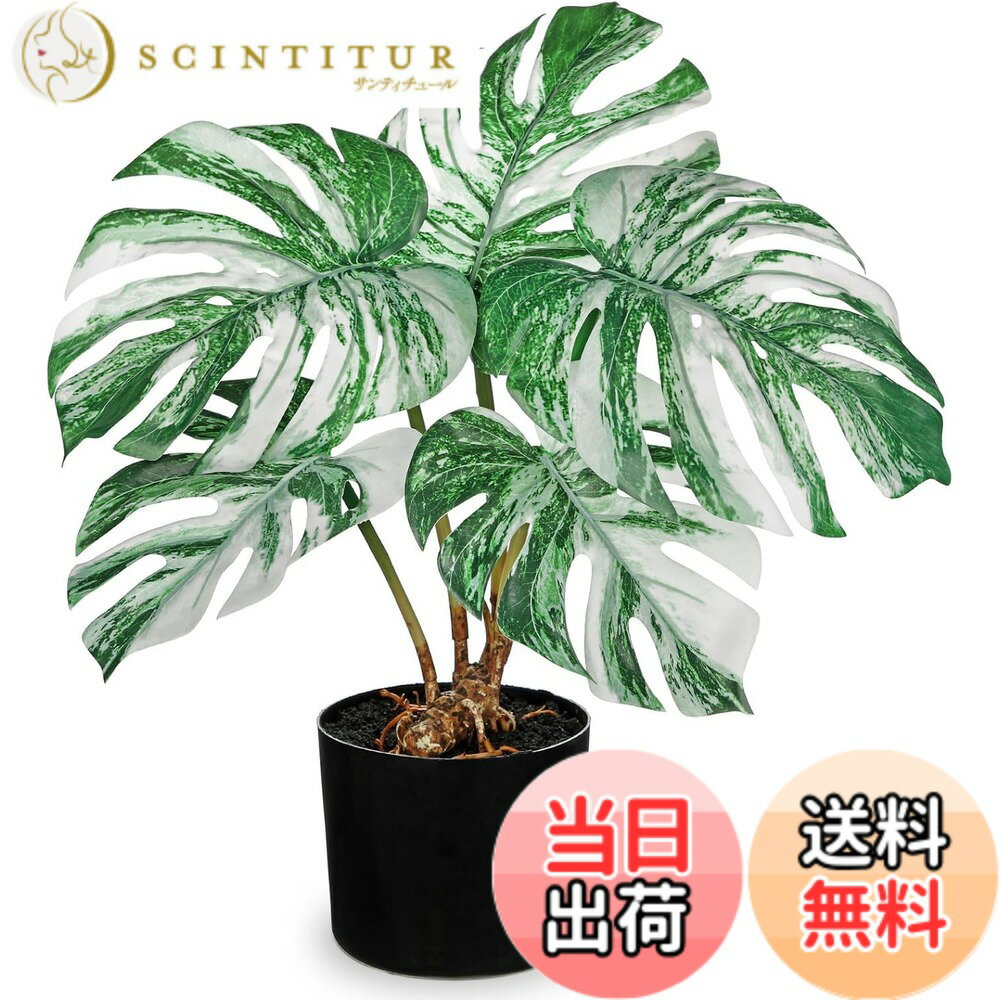 【送料無料】Villa Como フェイクグリーン インテリアグリーン 人工 観葉植物 フェイク モンステラ 室内 大型 簡単保 水やり不要 害虫駆除不要 おしゃれ ギフト 色：白い