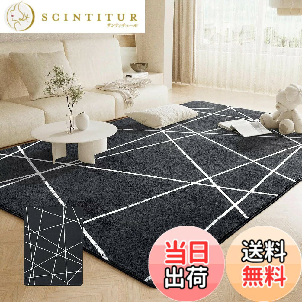 【送料無料】Beddiny カーペット ラグ マット 極厚 色：ブラック、サイズ：133 x 190 cm (長方形)