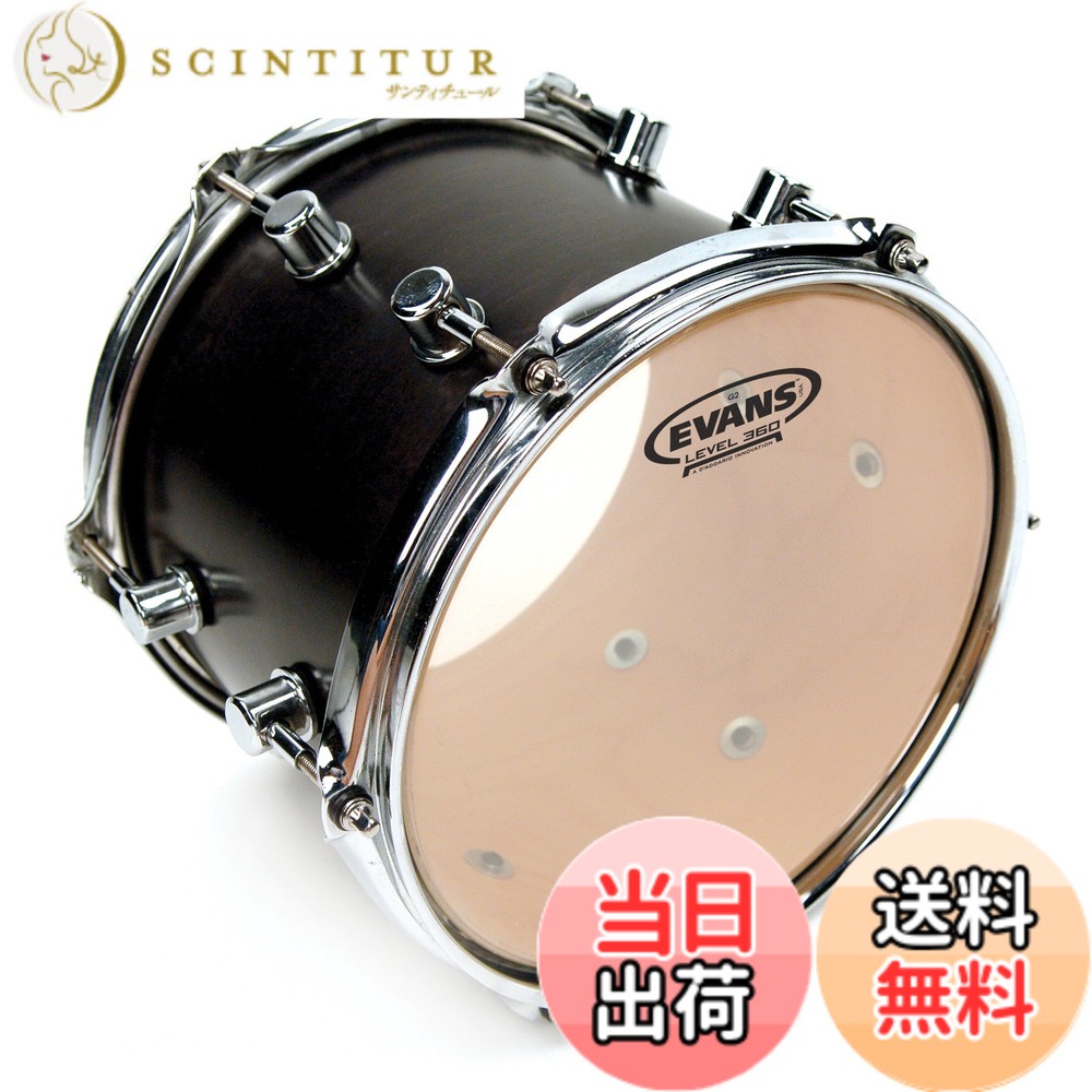 Evans - 【送料無料】EVANS エヴァンス ドラムヘッド G2 (two-ply,7mil + 7mil) 【国内正規品】 色：クリア、サイズ：6