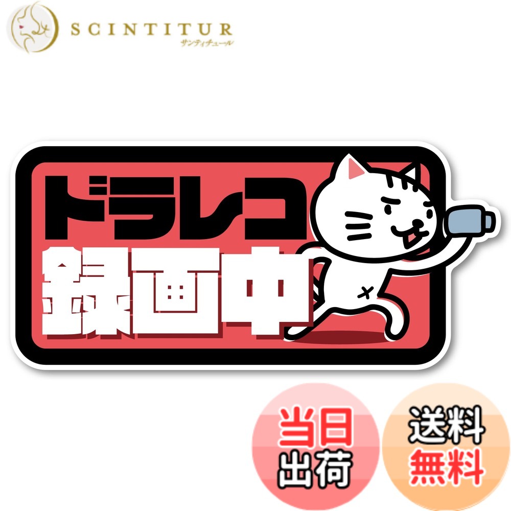 【送料無料】Isaac Trading ドライブレコーダー録画中 ステッカー 猫イラスト シール ドラレコ 耐水・耐候 148x67mm 色：ピンク、サイズ：小型サイン