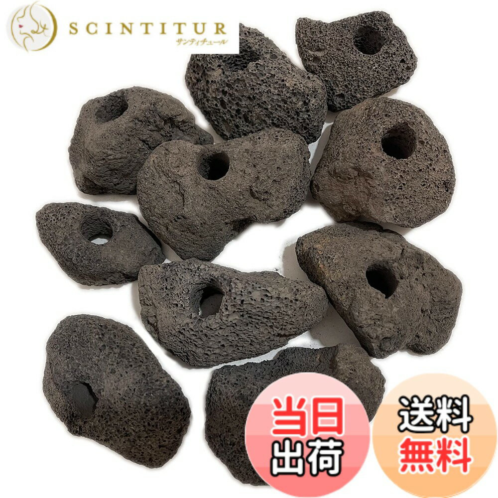 【送料無料】S-NET 溶岩 石 火山 岩 水槽 穴あき オブジェ 10個 セット アクアリウム 飾 ...