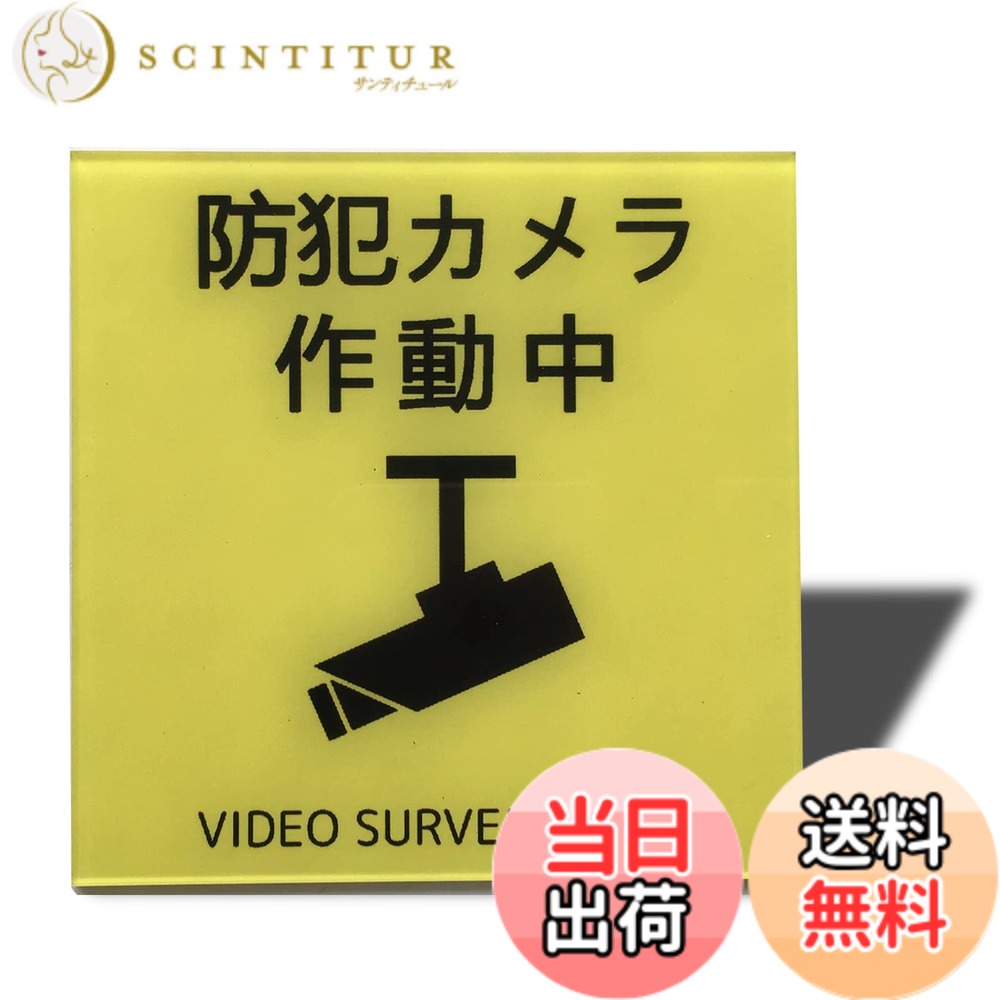 【送料無料】Seagron サインプレート 両面テープ付き 2mmアクリル製 おしゃれ 色：防犯カメ ...