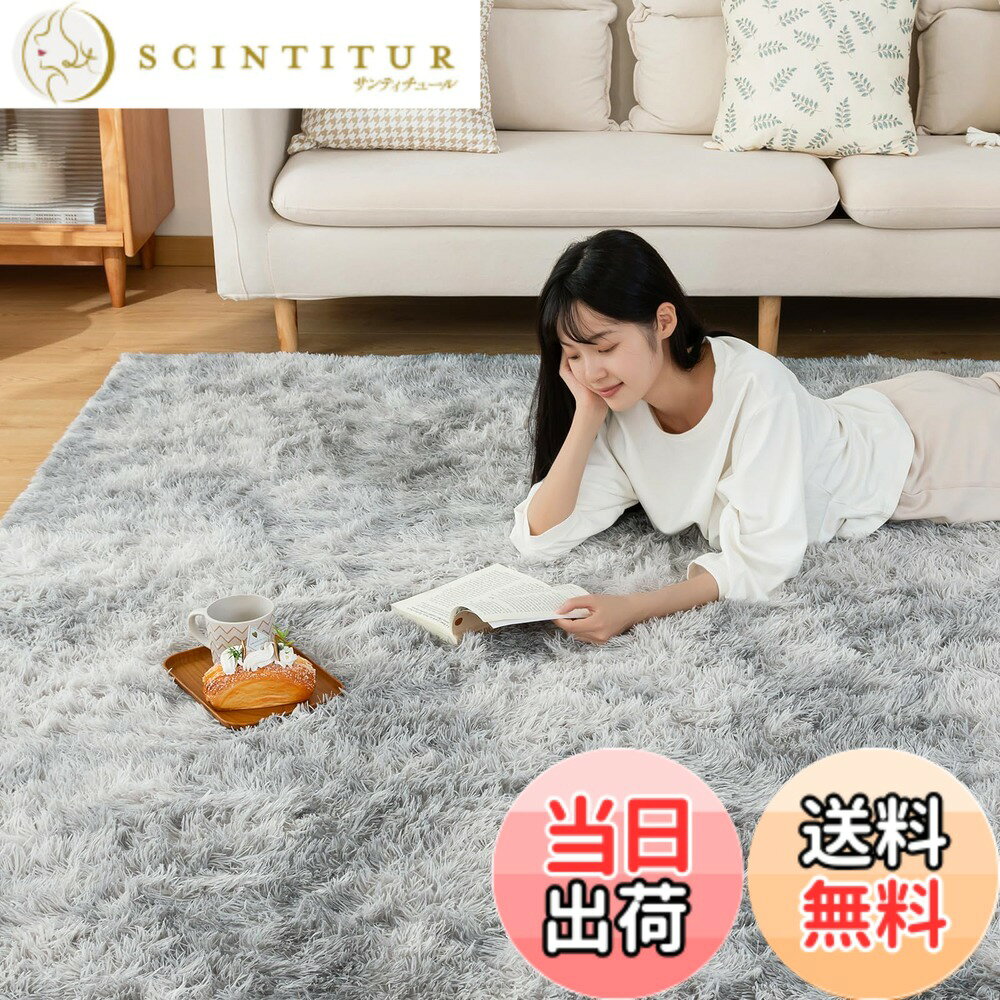 【送料無料】Sun Deco シャギーラグ I024 SD-I024-FT-E 色：グレー、サイズ：185x185cm