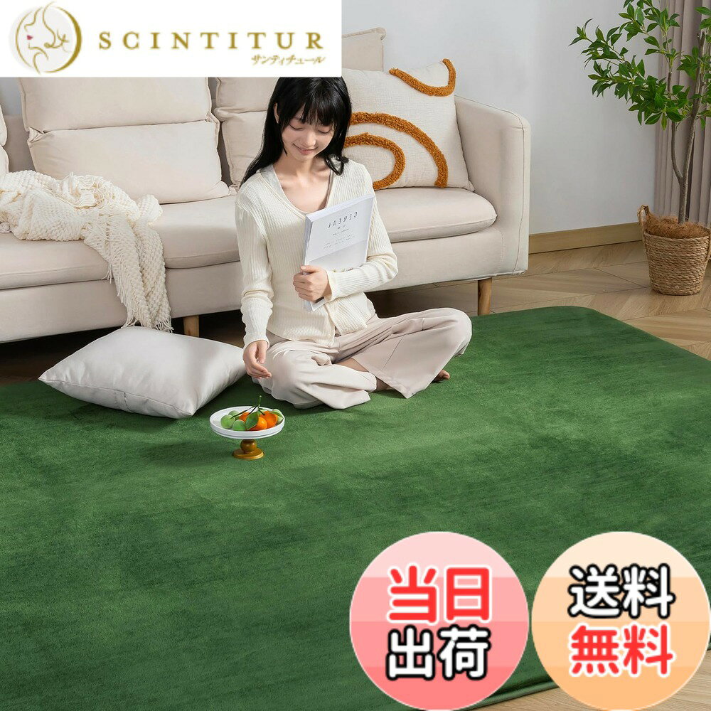 商品情報商品の説明主な仕様 【低反発カーペット】厚さは約25mm低反発ラグマットの踏み心地がすごくふんわりして、底付き感を感じずゆったりリラックスします。体圧をバランス分散し、長時間座っていても疲れにくい。ウレタンクッションで防音効果も抜群で、物の落下や足音など床から階下へ伝わる騒音を軽減することができ、防音ラグとして、心地よい暮らしをサポートします！【オールシーズンお楽しみに】絨毯表面は細く柔らかなフランネル生地を高密度に敷き詰めることで、さらさら、ふわふわして優しい肌触りを実現します。極細マイクロファイバーは軽くて、保温性や速乾性も優れているので、夏はサラッと冬はあたたかい！床暖房・ホットカーペットも対応し、底冷えする季節も足元がぽかぽか暖かいです。【滑り止め・抗菌・防ダニ】衛生的にご使用いただけるよう抗菌・防臭・防ダニ加工を加えます。カーペットの裏面にはゴム製の滑り止め加工があり、フローリングに敷いても滑りにくく、安全のノンホルム仕様なのでお年寄りやお子様やペットがいるご家庭でも安心です。【お手入れ楽に】毛足の長さは約4mm、短毛ラグなので、ゴミやほこりが絡まりにくい、掃除機で簡単に掃除可能です。うっかり飲み物をこぼしても、すぐに拭き取れば大丈夫です。【ラグ仕様】表地：ポリエステル100%　中材：ウレタンフォーム　裏地：ポリエステル100% 不織布 。サイズ：200x245cm 約3畳。毛足約4mm、ノンスリップ不織布約1mm、ウレタン 約20mm、全厚さ約25mmです。
