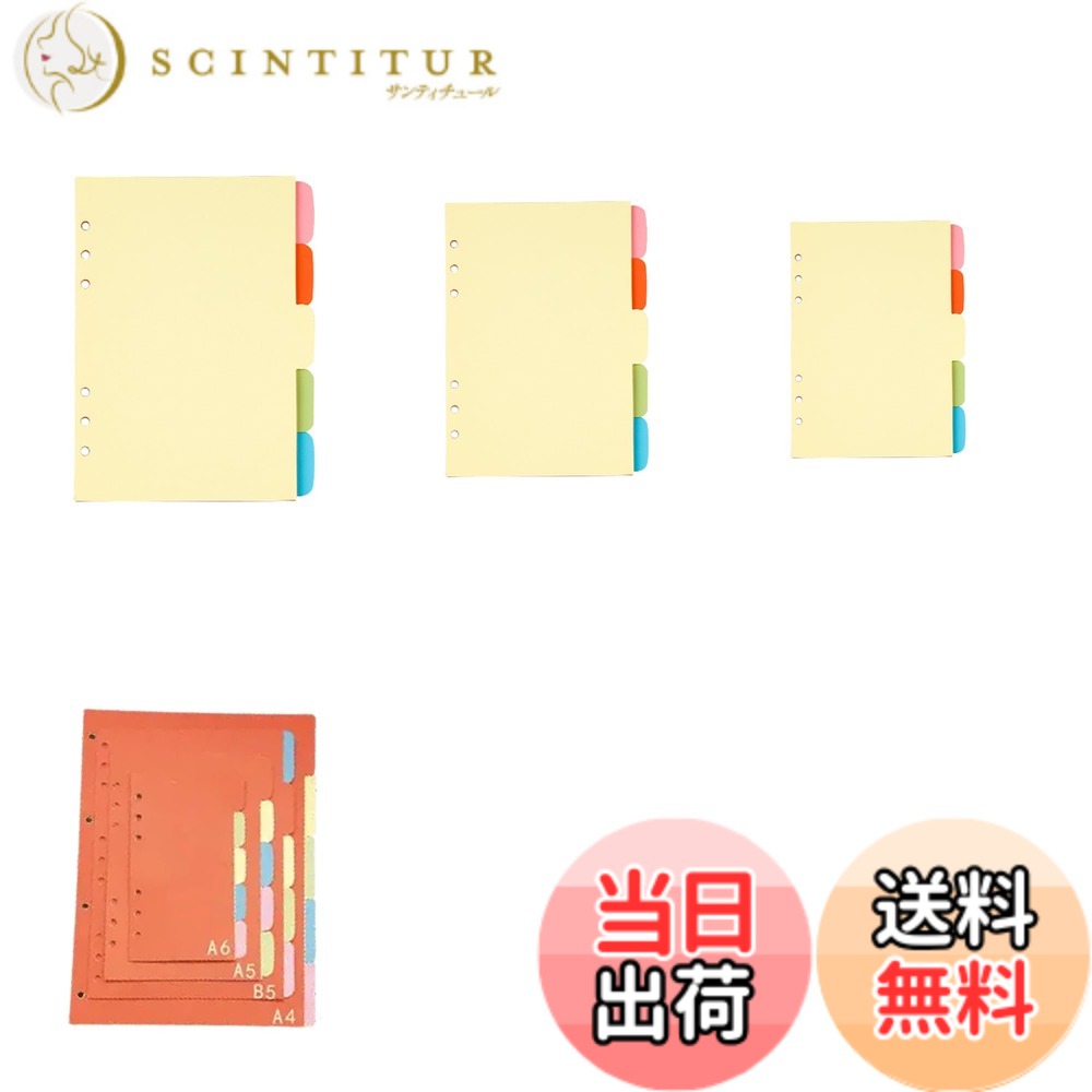 乐天商城 - 【送料無料】BLOOPIC バインダー プラス インデックスシート 仕切りカード 6穴 学校 文具 書類整理 オフィス用品 カラー 色：マルチカラー