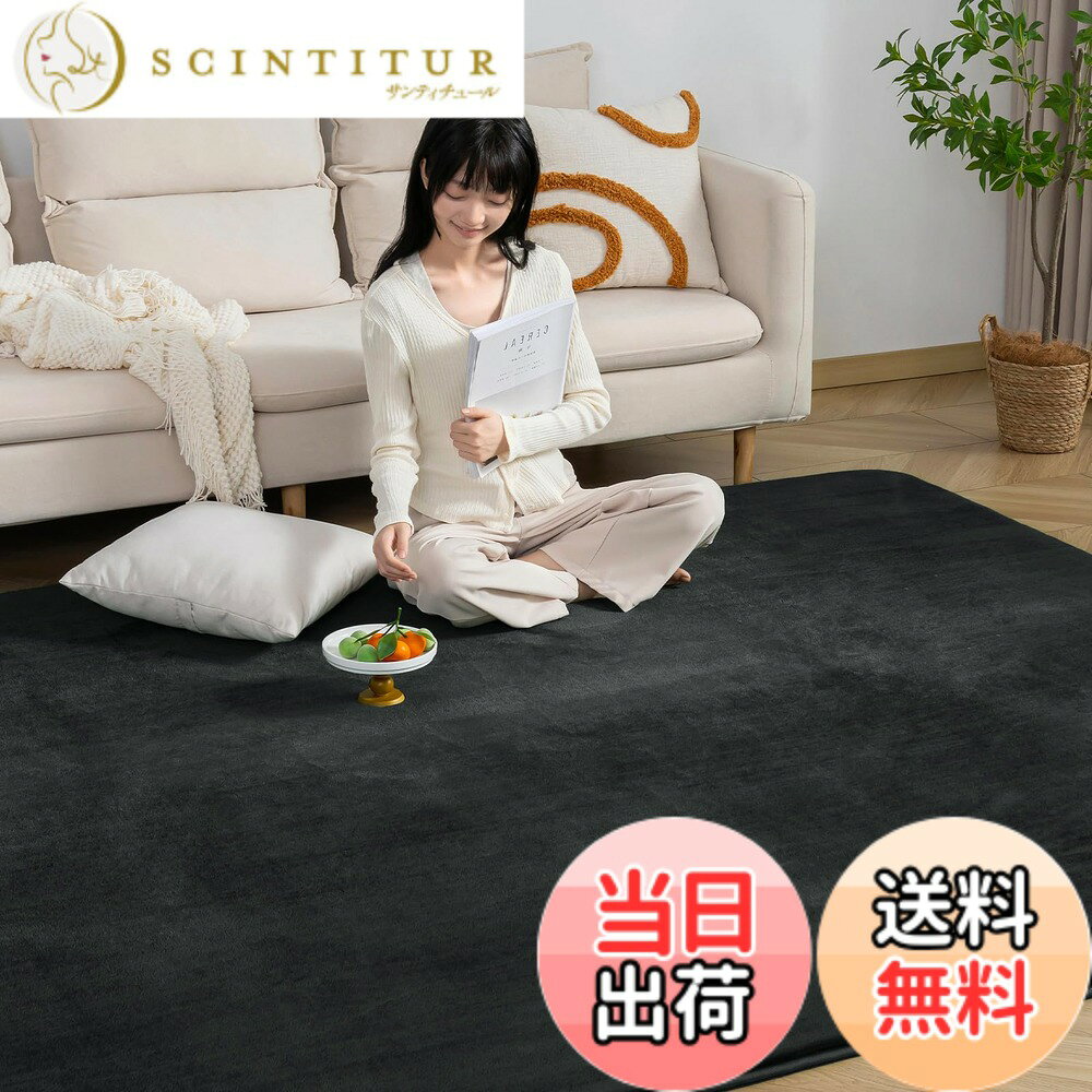 【送料無料】Keusnix 極厚25mm ラグ カーペット 厚手 ラグマット 滑り止め付 防音 絨毯 抗菌・防ダニ加工 オールシーズン ふわっと手触り 床暖房・ホットカーペット対応 色：ブラック、サイズ：200 x 245 cm (長方形)
