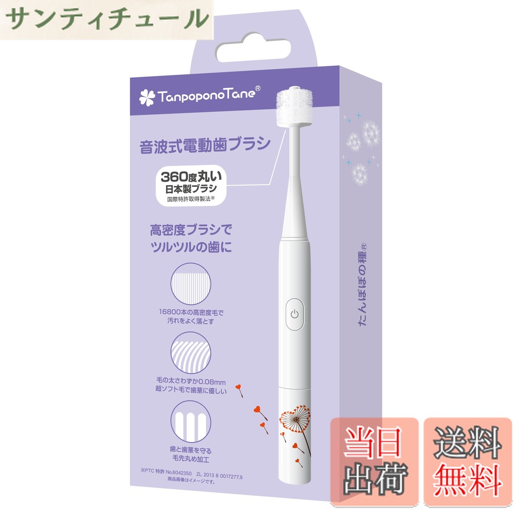 商品情報商品の説明主な仕様 【材質】柄：ポリプロピレン　毛：ナイロン