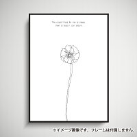楽天市場 ポピー 一輪の花 シンプル モノクロ イラスト 花言葉 Sleep 玄関 雑貨 一人暮らし おうち時間 北欧 インテリア アート ポスター サイズ 大きい 備品販促二郎 楽天市場 ポピー 一輪の花 シンプル モノクロ イラスト 花言葉 Sleep 玄関 雑貨 一人暮らし おうち時間 北欧 インテリア アート ポスター サイズ 大きい 備品販促二郎